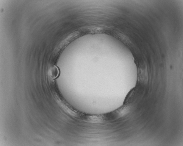 X0000053010238200507291716