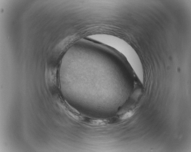 X0000053010239200507291716