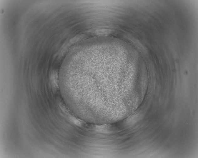 X0000053010240200507291716