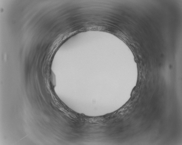 X0000053010241200507291715