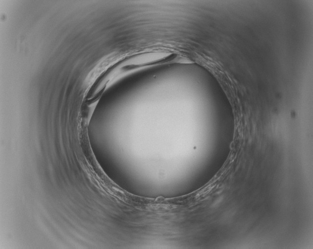 X0000053010242200507291715