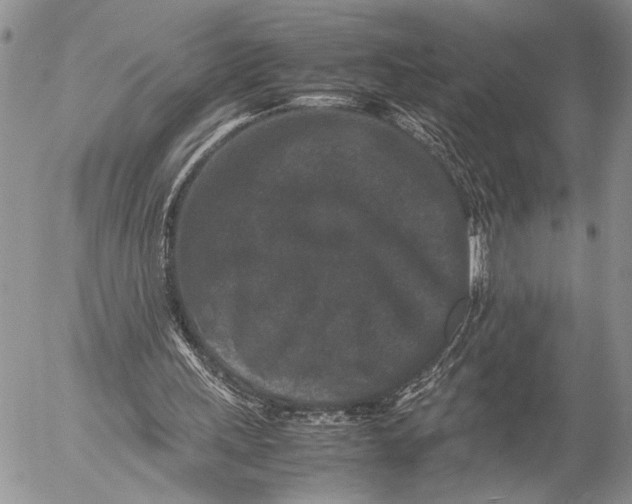 X0000053010243200507291715