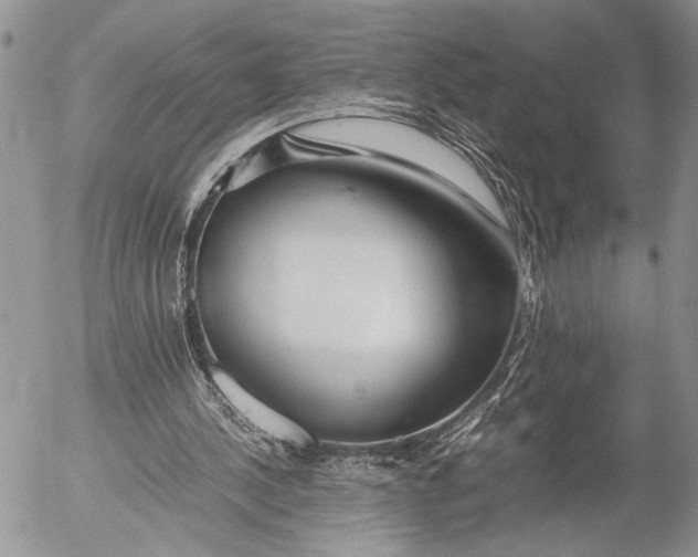 X0000053010244200507291715