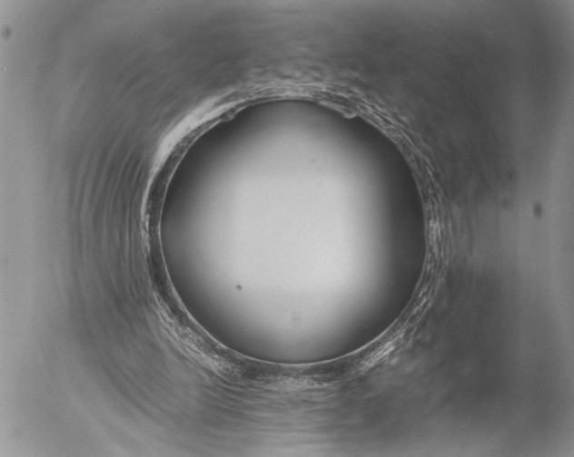 X0000053010246200507291715