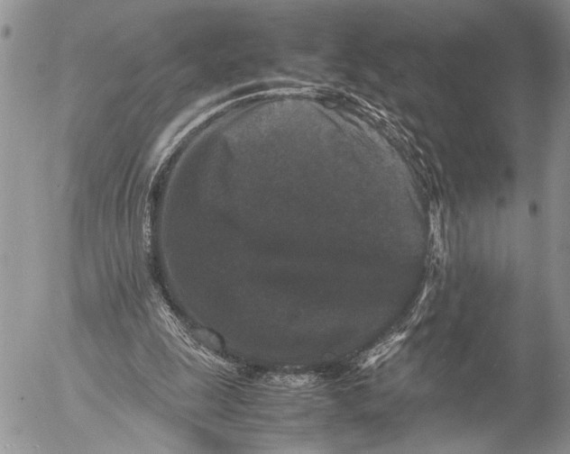 X0000053010247200507291715