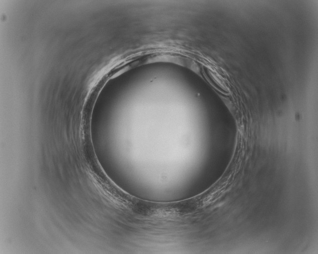 X0000053010248200507291715