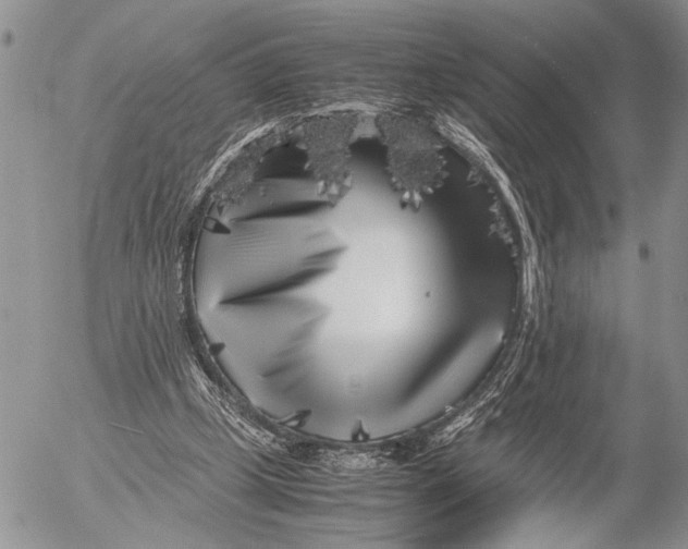 X0000053010249200507291715