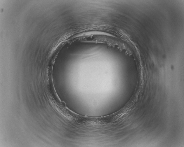 X0000053010250200507291715