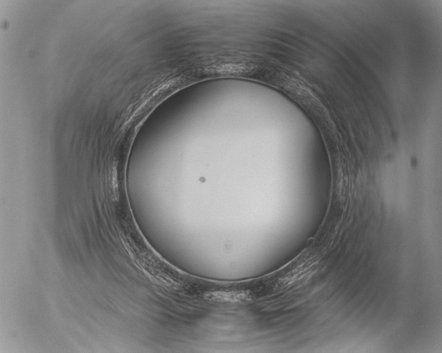 X0000053010251200507291715