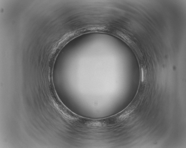 X0000053010253200507291715