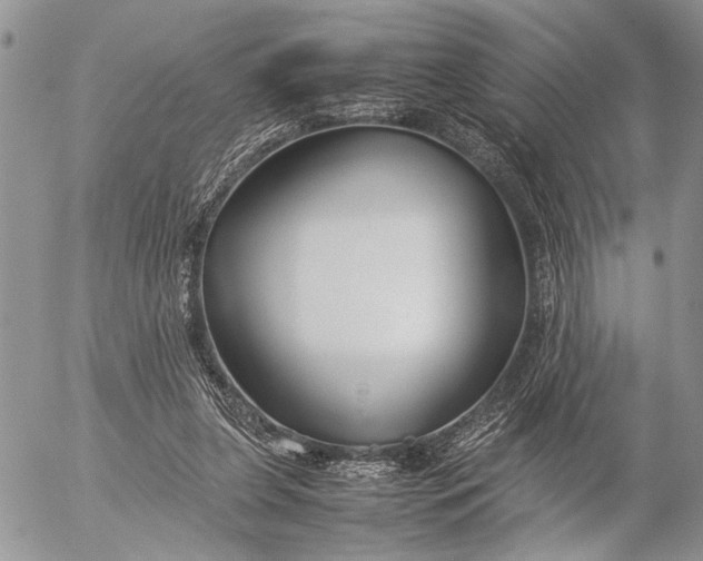 X0000053010255200507291715