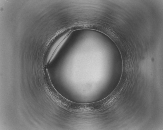 X0000053010256200507291715