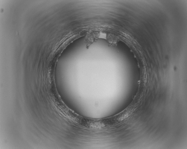 X0000053010258200507291715