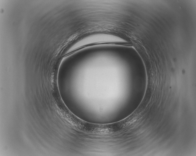 X0000053010260200507291715