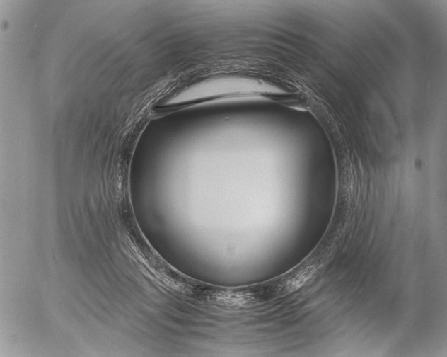 X0000053010261200507291715