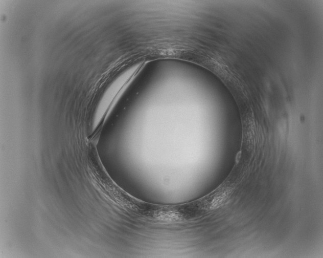 X0000053010262200507291715