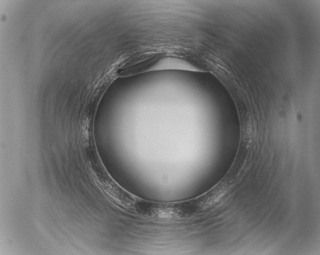 X0000053010264200507291715