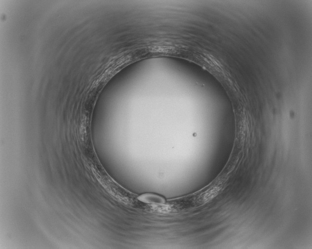 X0000053010265200507291715