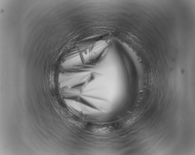 X0000053010267200507291715