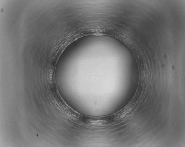 X0000053010268200507291715