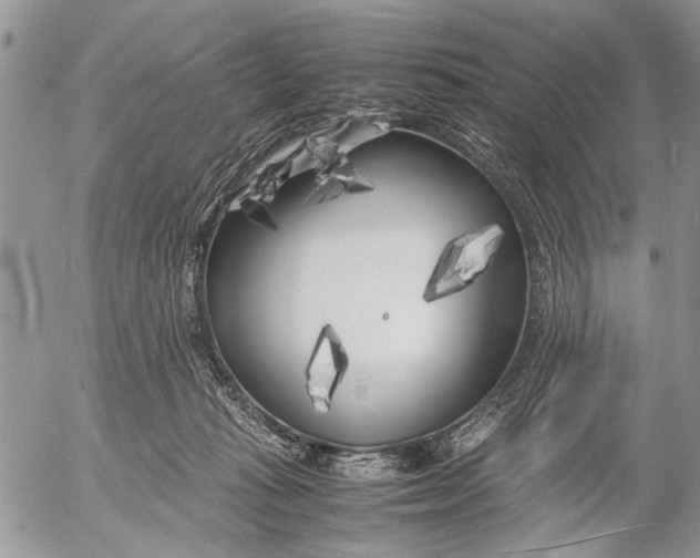 X0000053010269200507291715