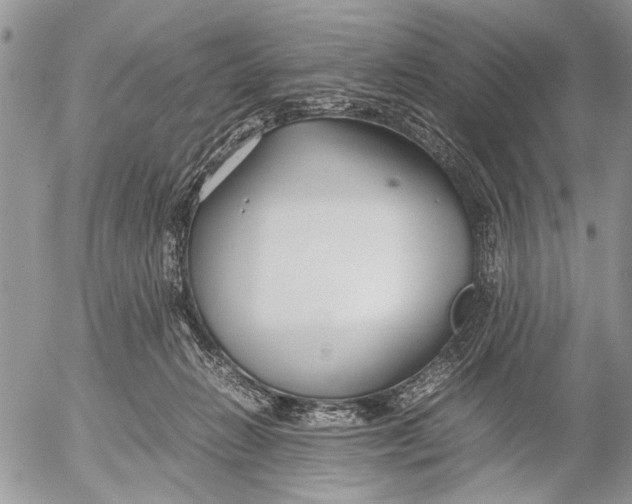 X0000053010270200507291715