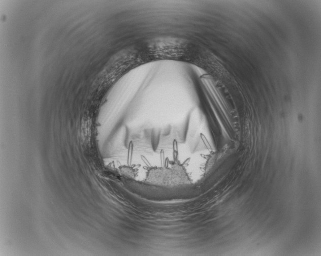 X0000053010271200507291715