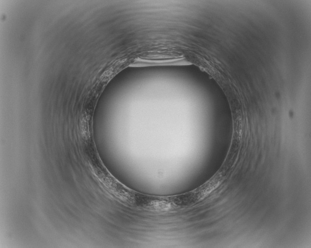 X0000053010272200507291715