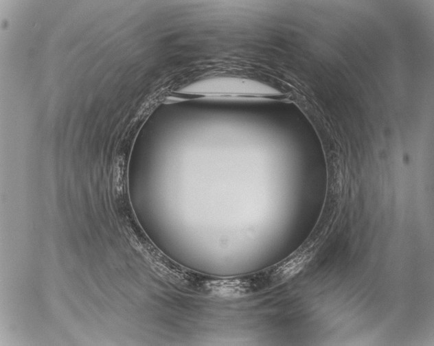 X0000053010273200507291715