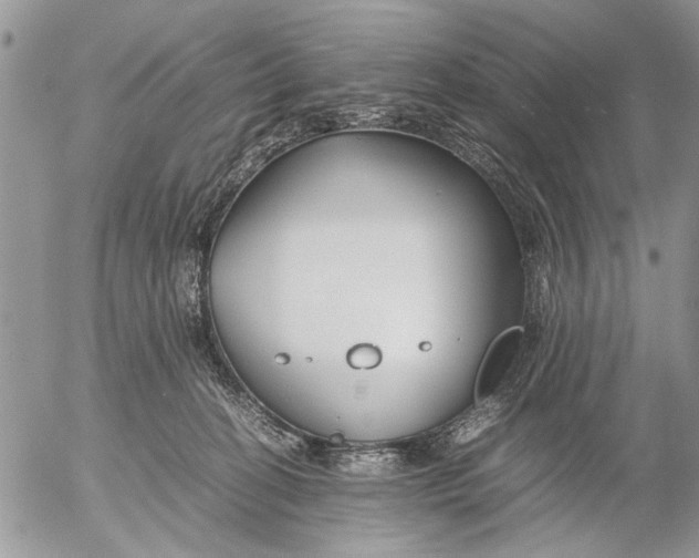 X0000053010274200507291715