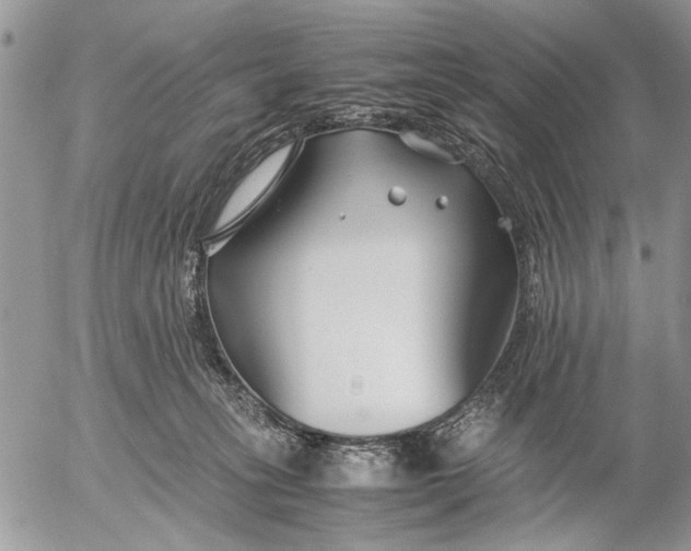 X0000053010275200507291715