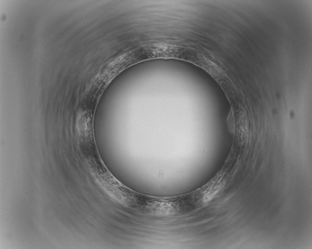 X0000053010276200507291715