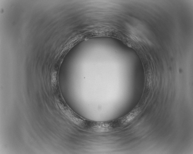 X0000053010278200507291715