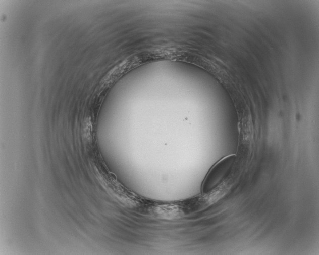 X0000053010279200507291715