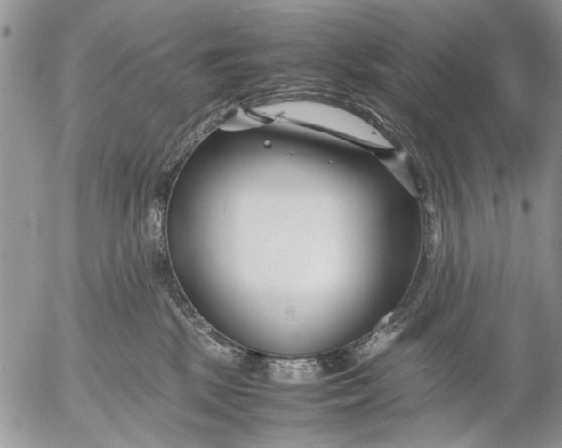 X0000053010281200507291715