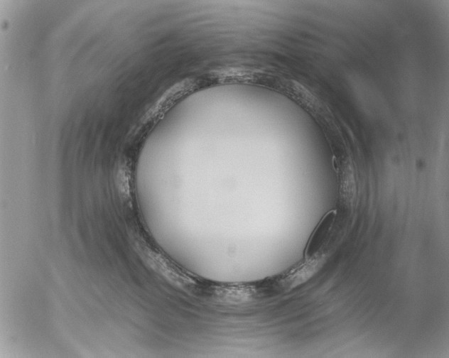 X0000053010282200507291715