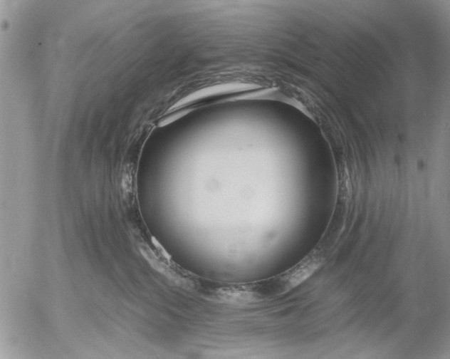 X0000053010284200507291715