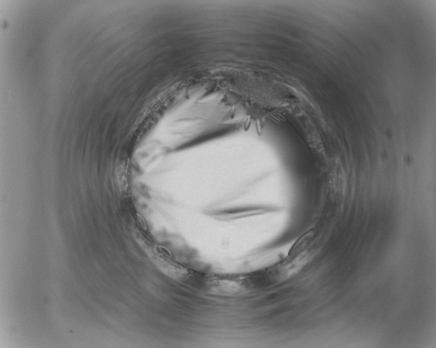 X0000053010285200507291715