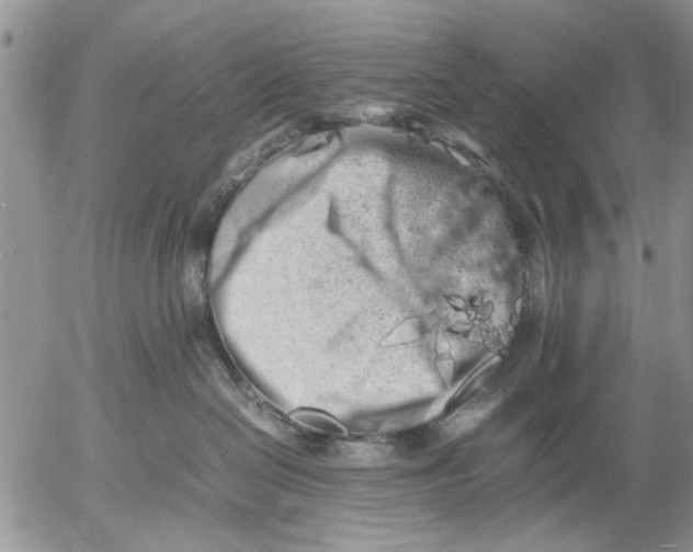 X0000053010286200507291715