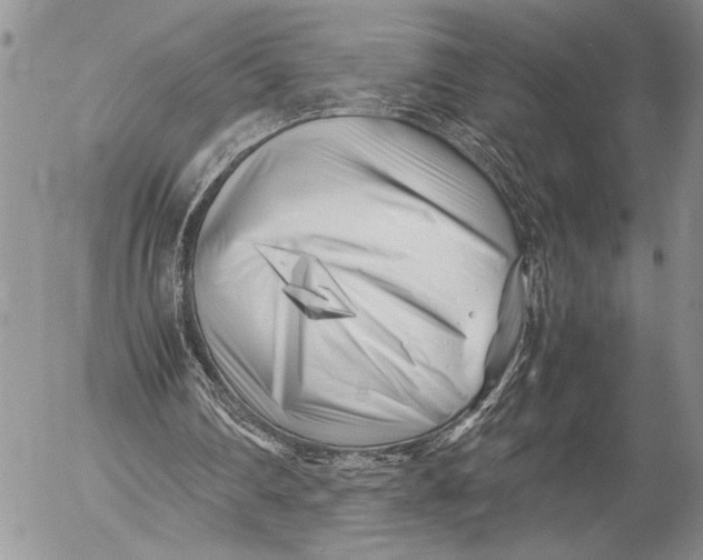 X0000053010290200507291715