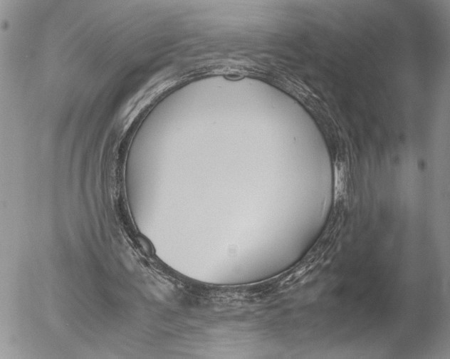 X0000053010291200507291715