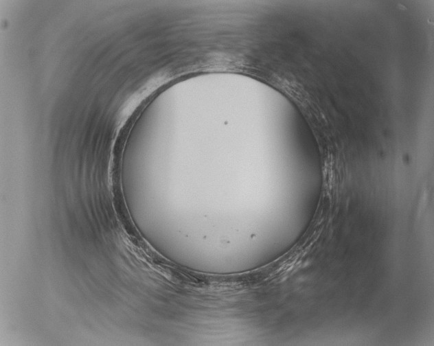 X0000053010292200507291715