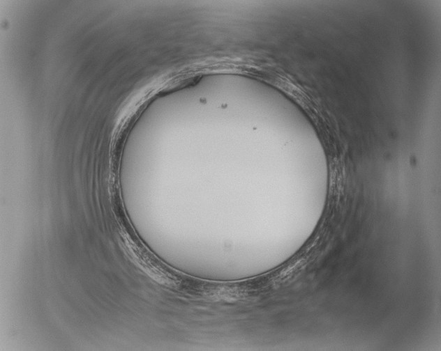 X0000053010293200507291715