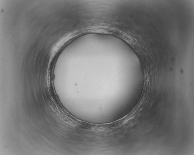 X0000053010294200507291715