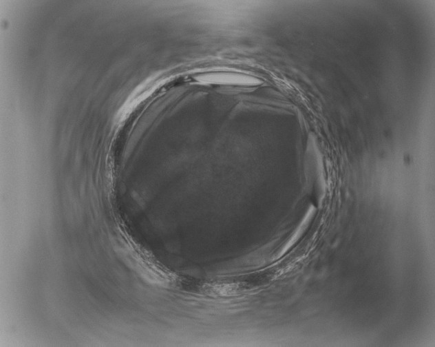 X0000053010295200507291715