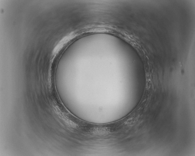 X0000053010296200507291715