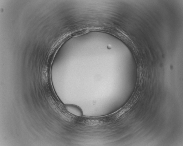 X0000053010298200507291715