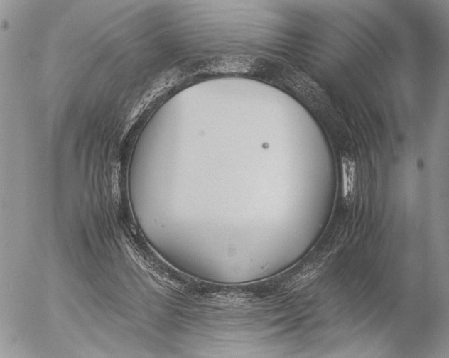 X0000053010300200507291715