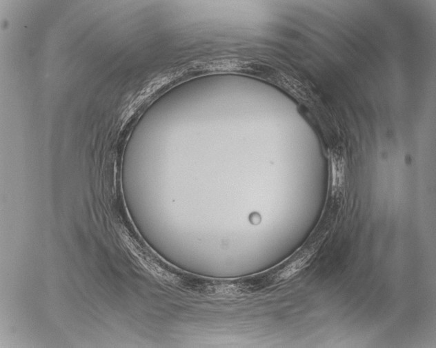 X0000053010301200507291715