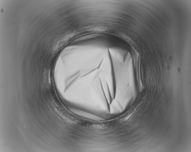 X0000053010302200507291715